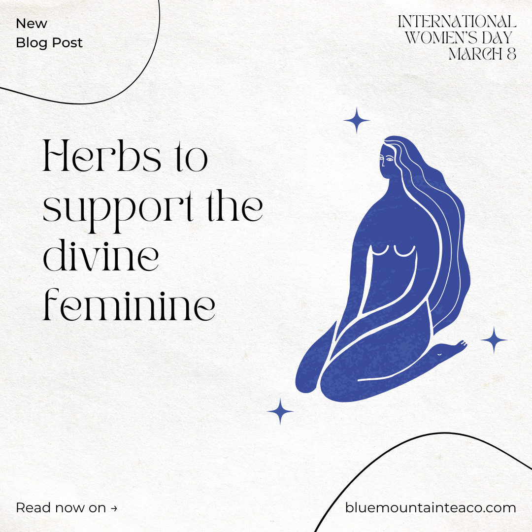 What Herbs are Good for Womens Hormonal Support?  From Menstruation to Menopause,we've got you covered!