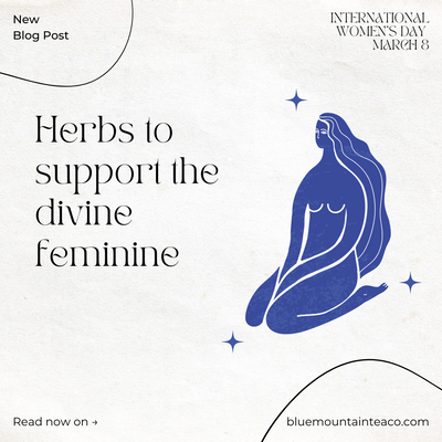 From Menstruation to Menopause, herbs and herbals for hormonal support