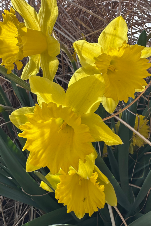Spring Sale - 30% Off