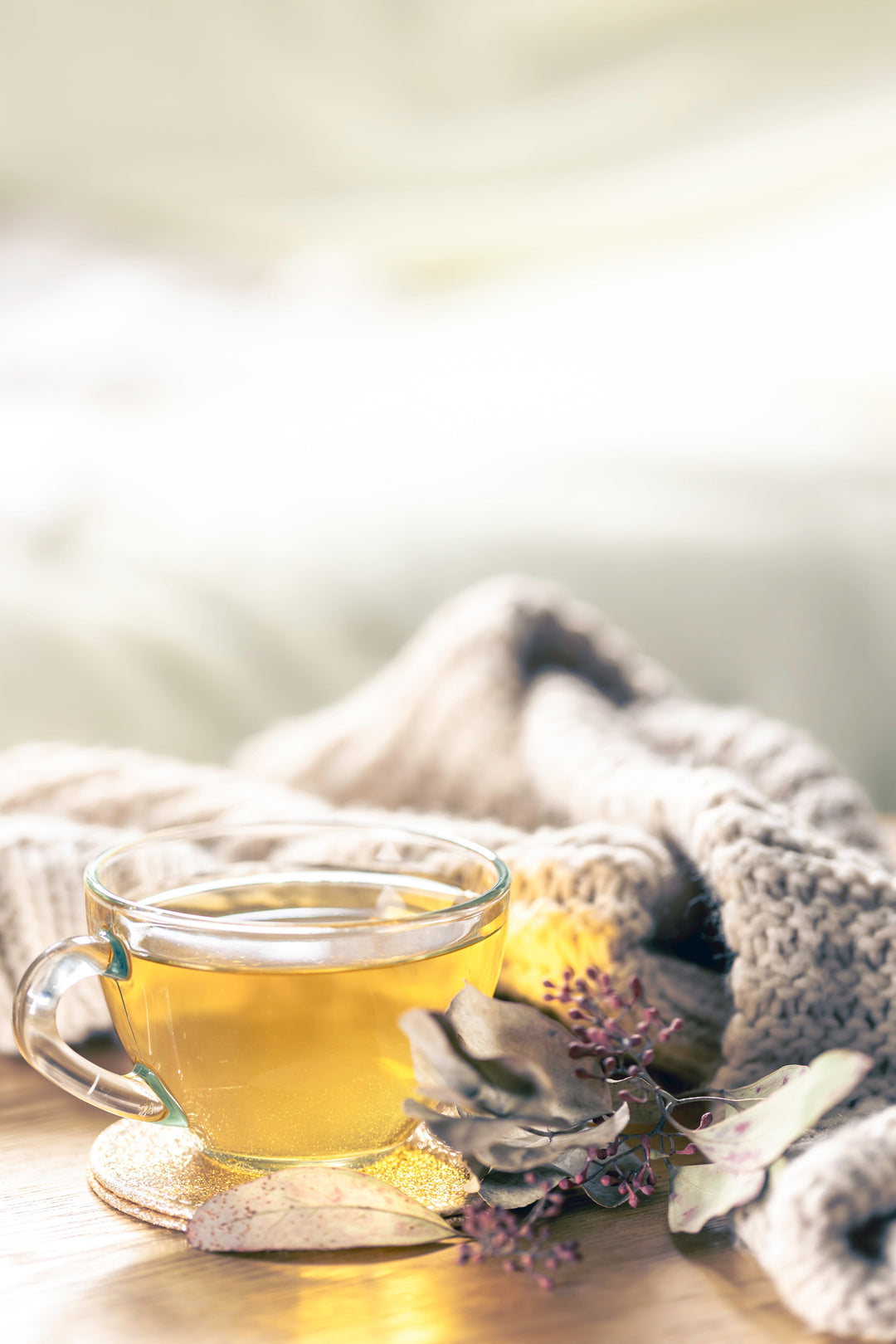 TEA SPOTLIGHT OF THE MONTH