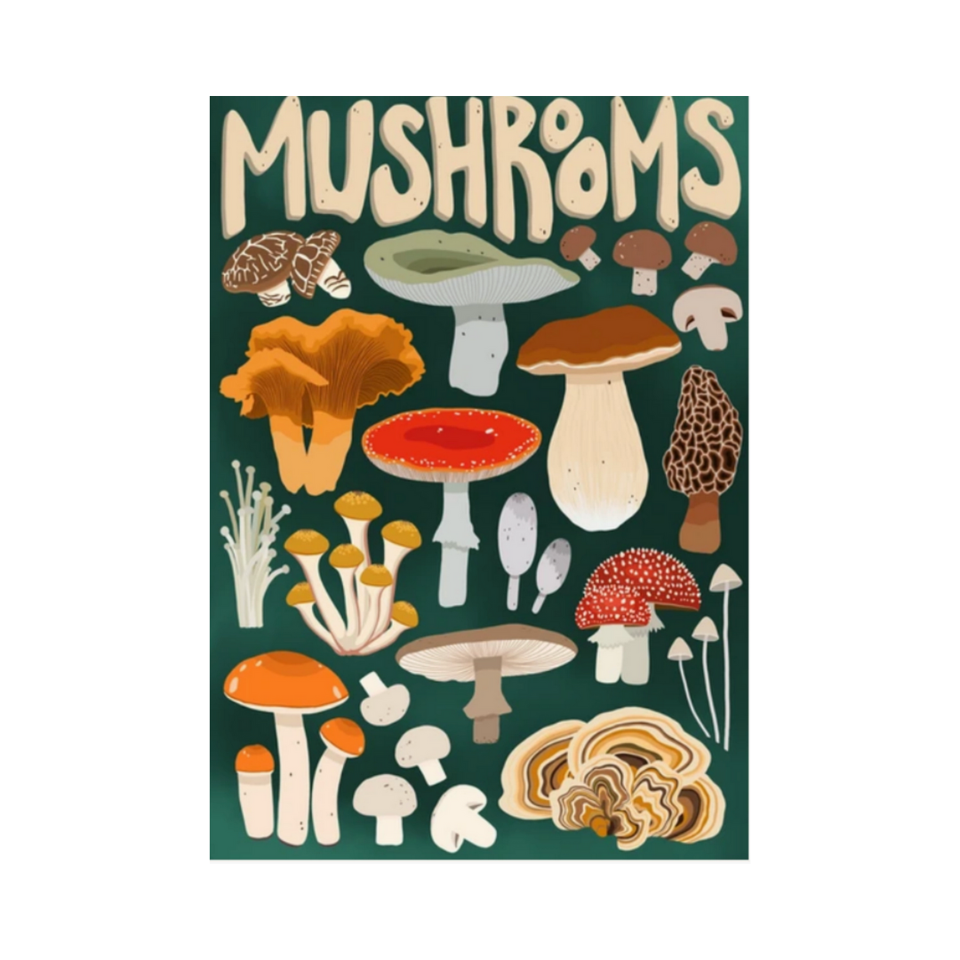 Mushroom Forager 1000 Piece Puzzle