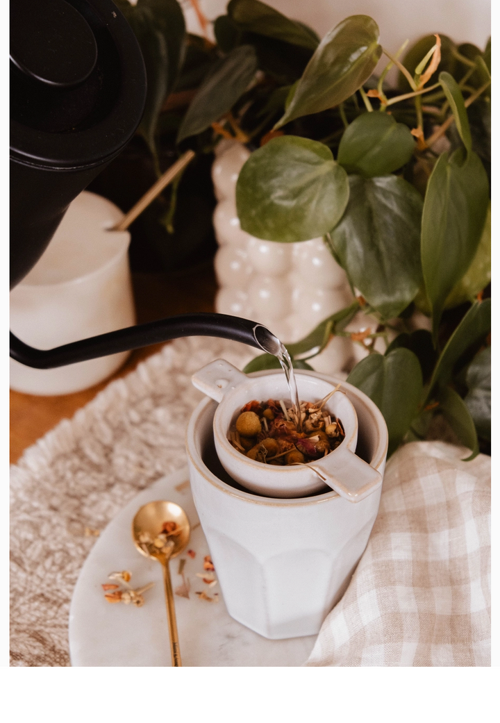Infusion Nest Ceramic Tea Steeper
