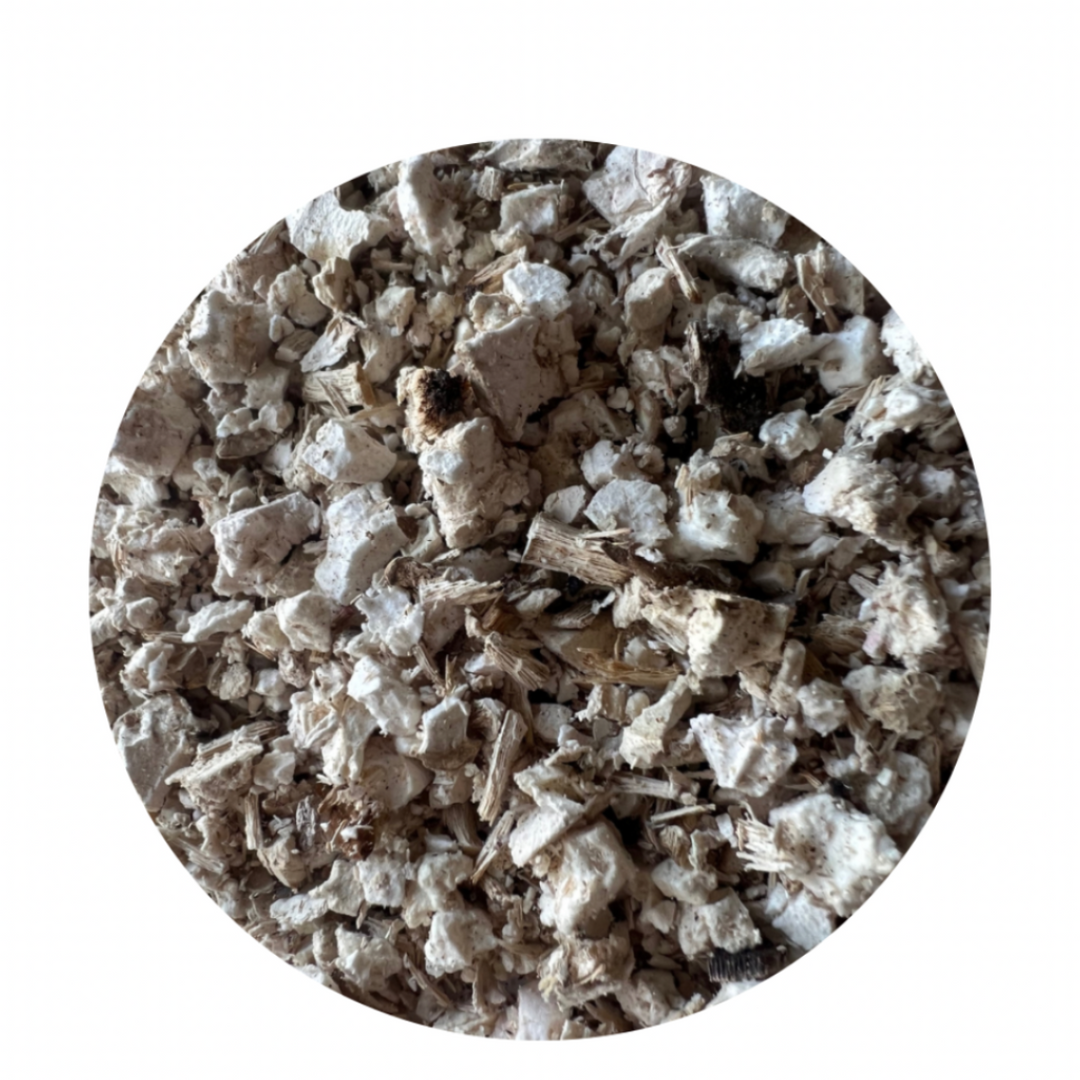 Raw Harvested Wild Birch Polypore Mushroom pieces.