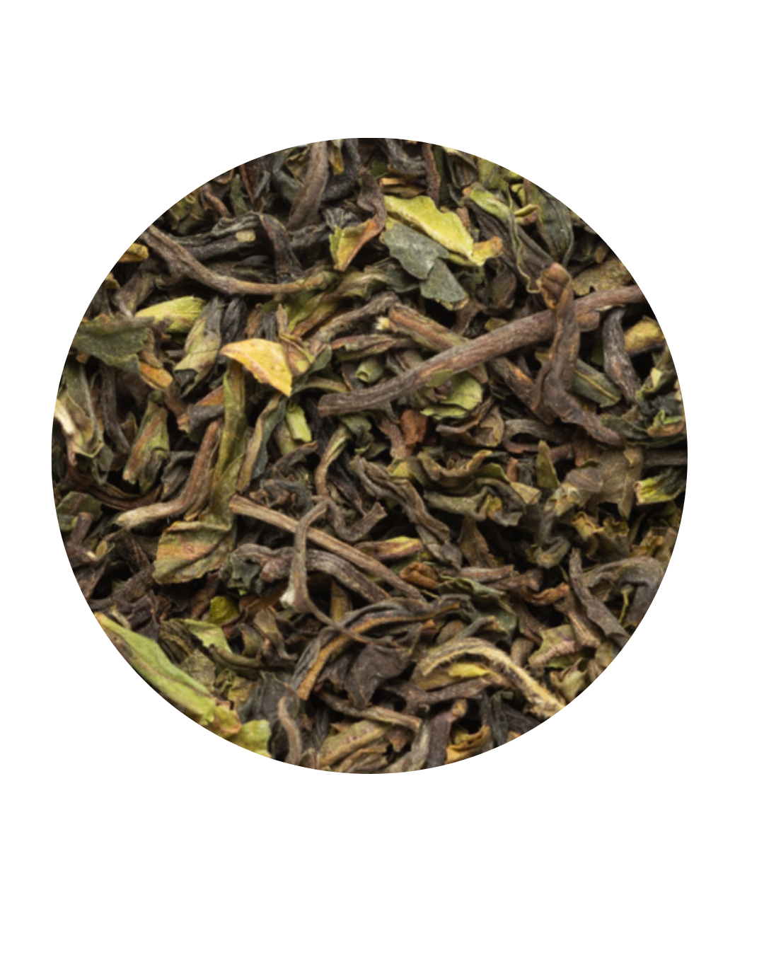 Close-up of dried tea leaves on a white background