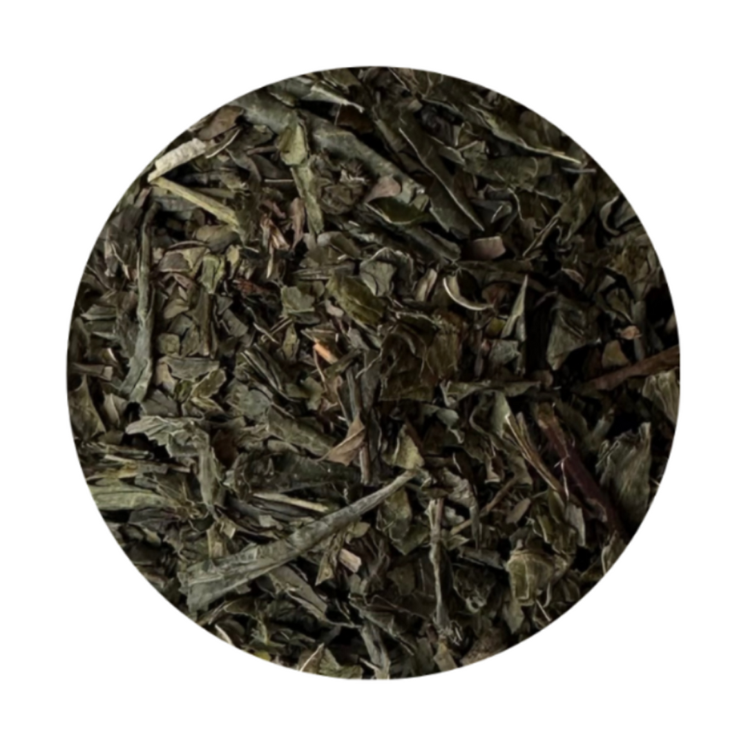 Moroccan Mint Organic