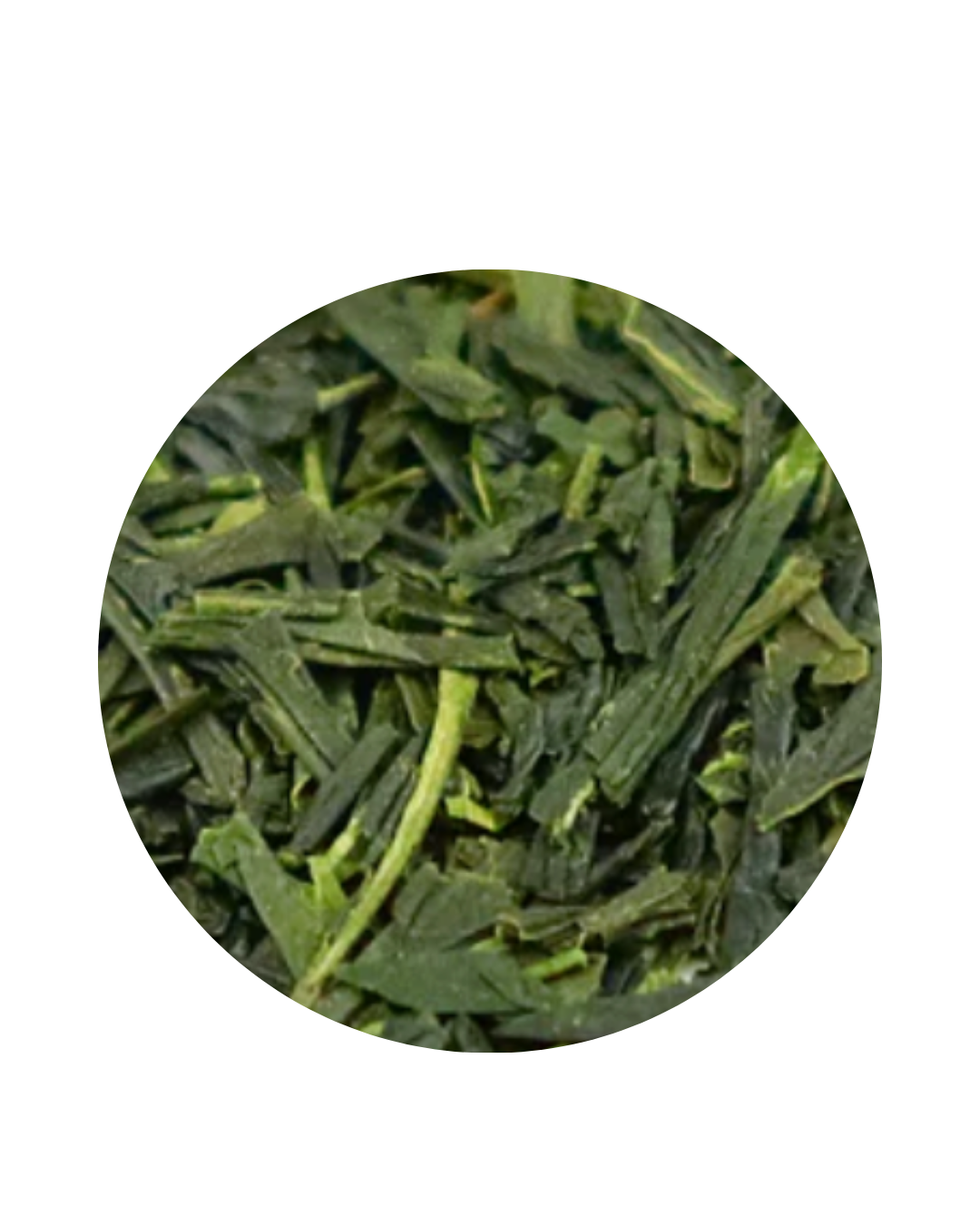 Close-up of green tea leaves on a white background