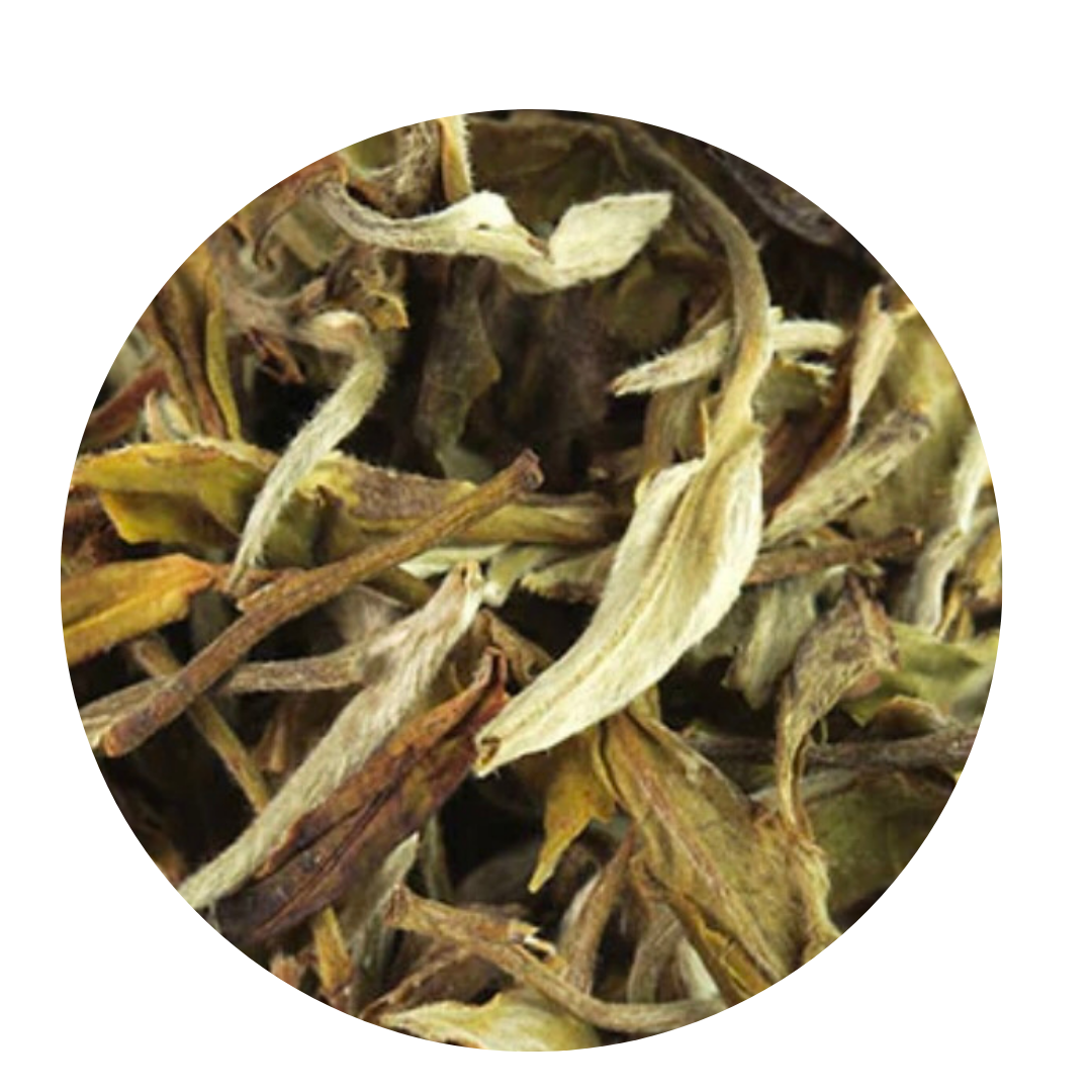 Dried yellow tea leaves