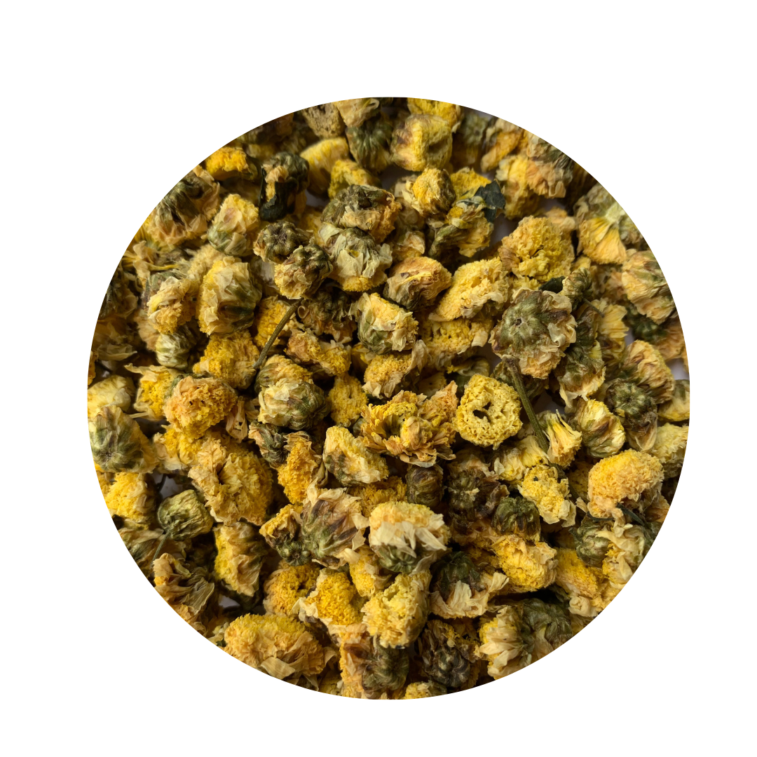 Loose Leaf Organic Chrysanthemum flowers.