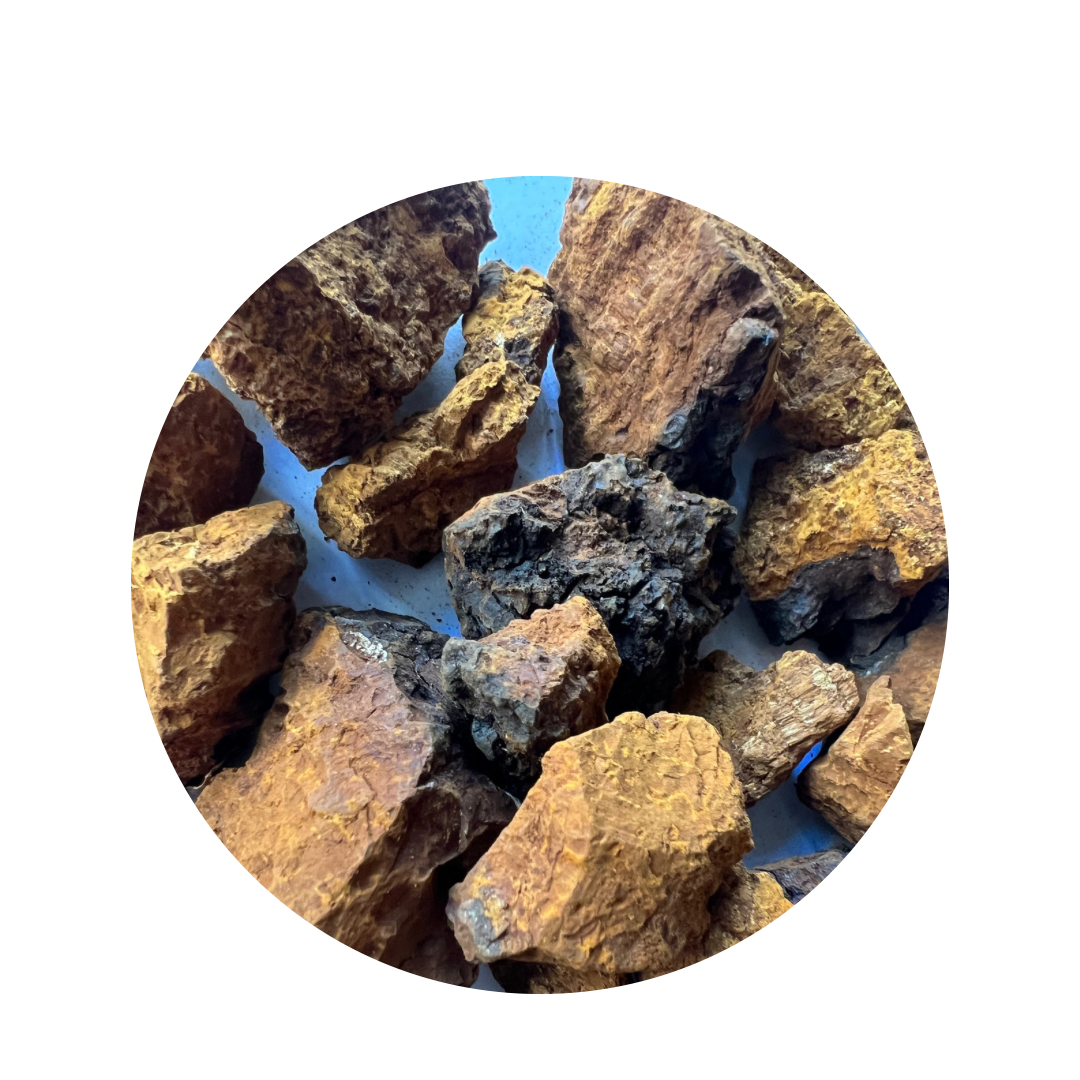 Organic Wild Harvested Chaga Mushroom Chunks.