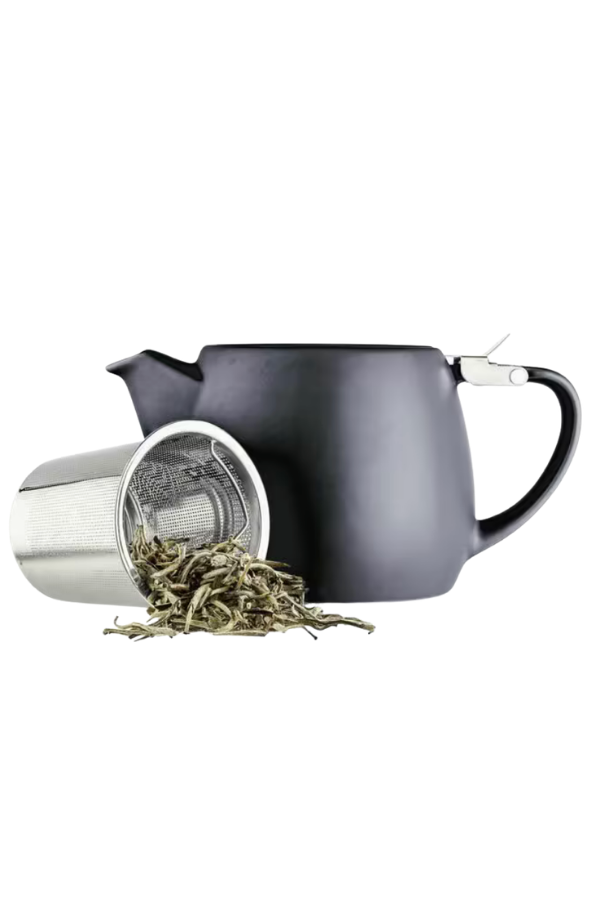 Pluto Porcelain Teapot Slate Black