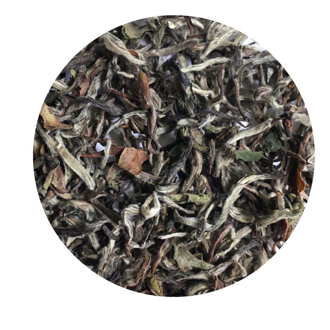 Loose Leaf Organic White Tea.