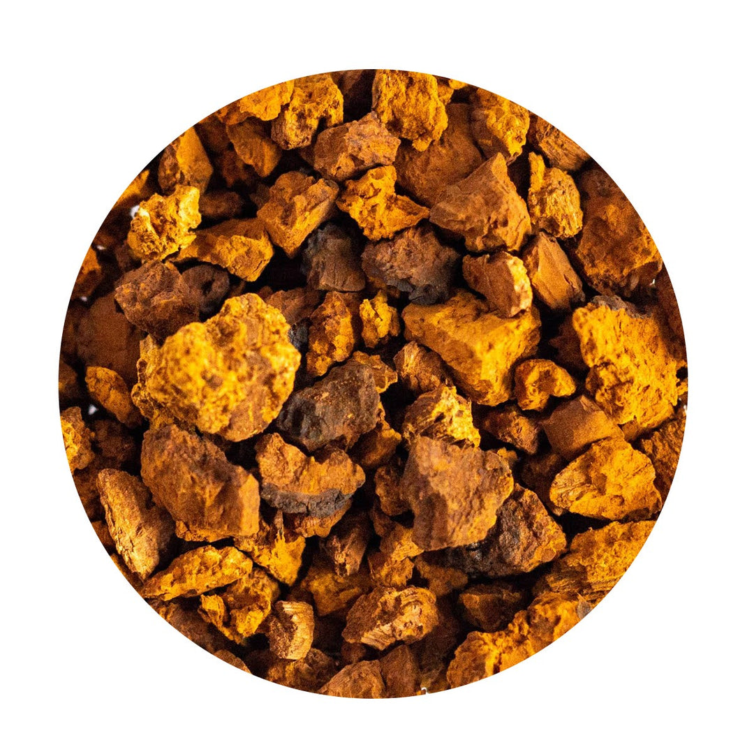 Loose Organic Chaga Mushroom pieces.
