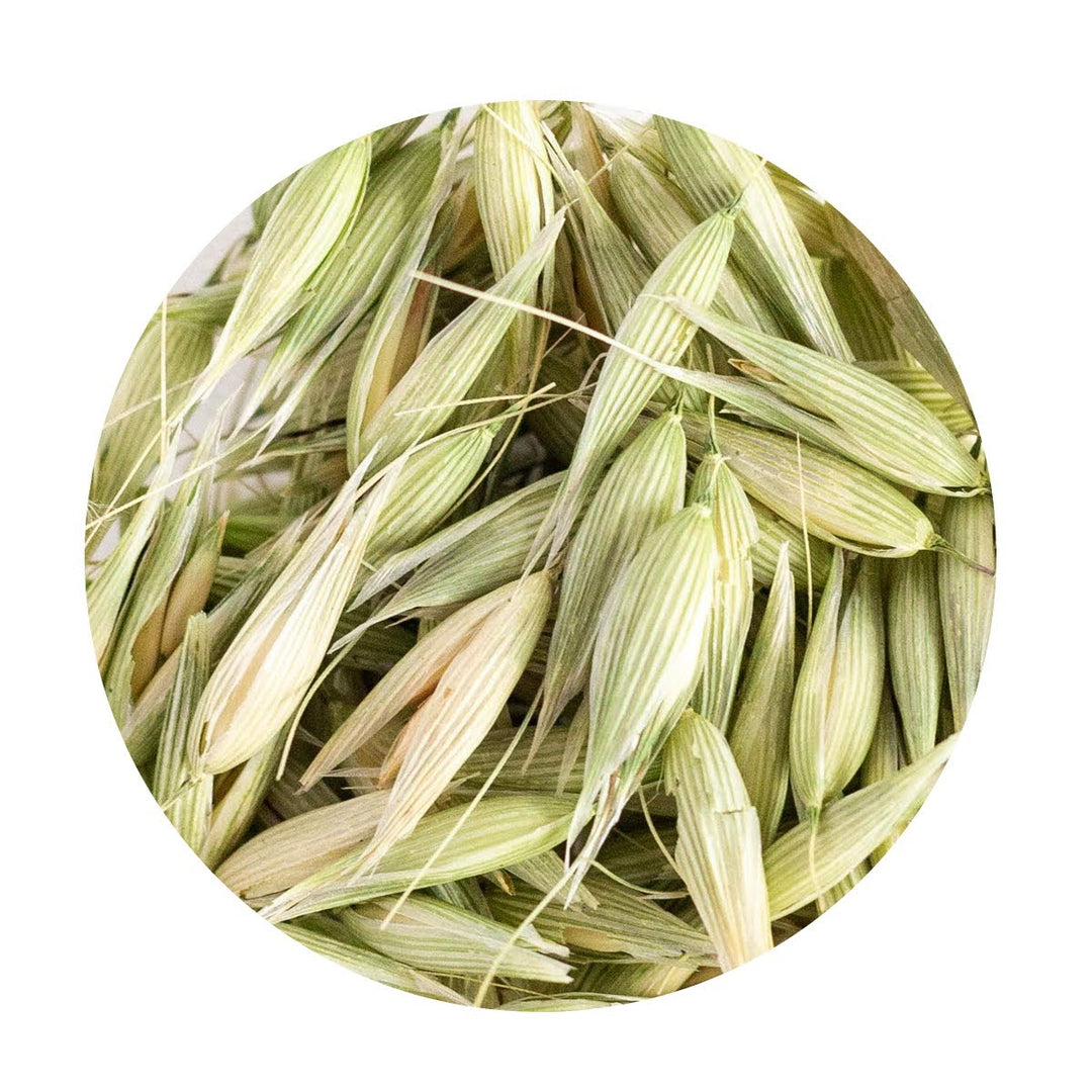 Loose Leaf Organic Milky Oat tops.