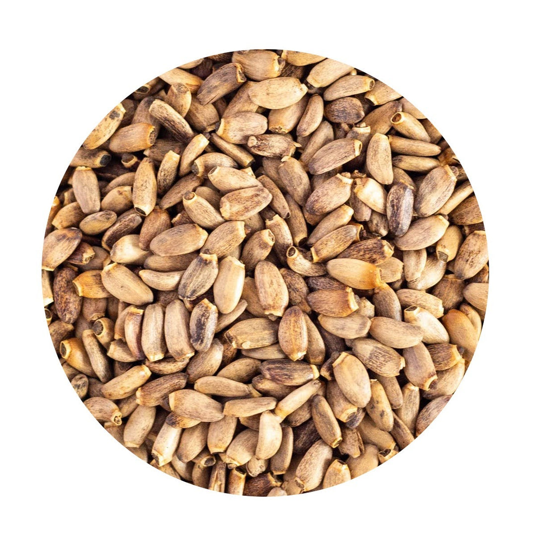 Loose Organic Milk Thistle Seeds.
