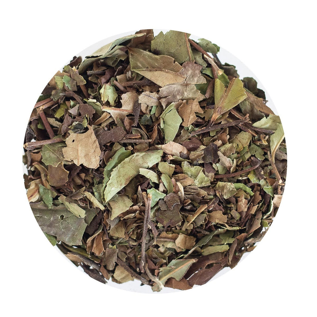 Loose Leaf Organic White Tea.