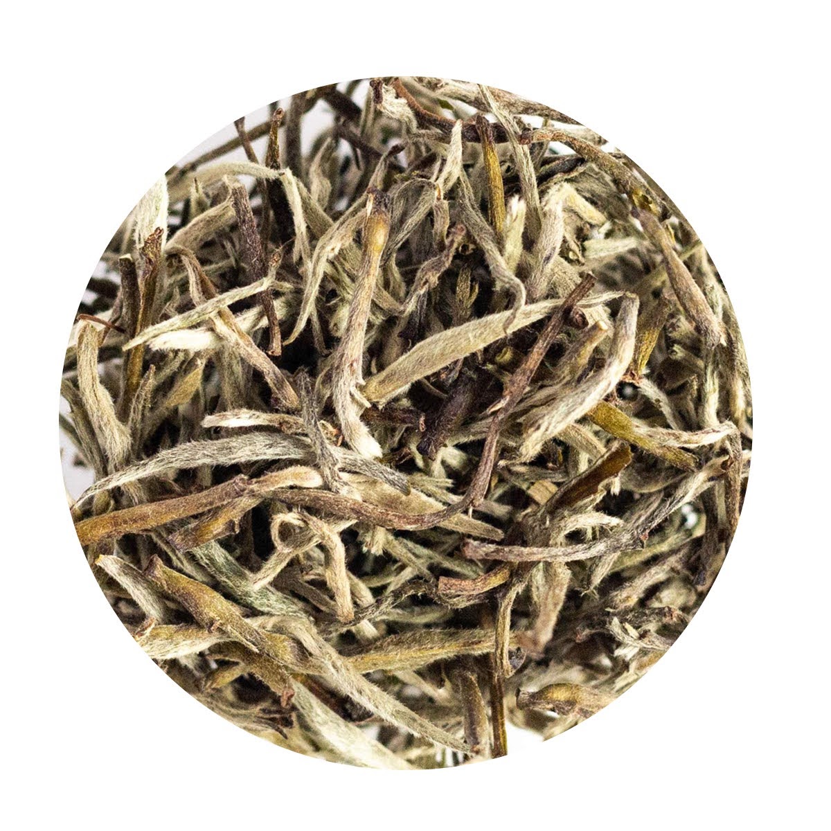 Silver Yeti, Organic Nepali White Tea