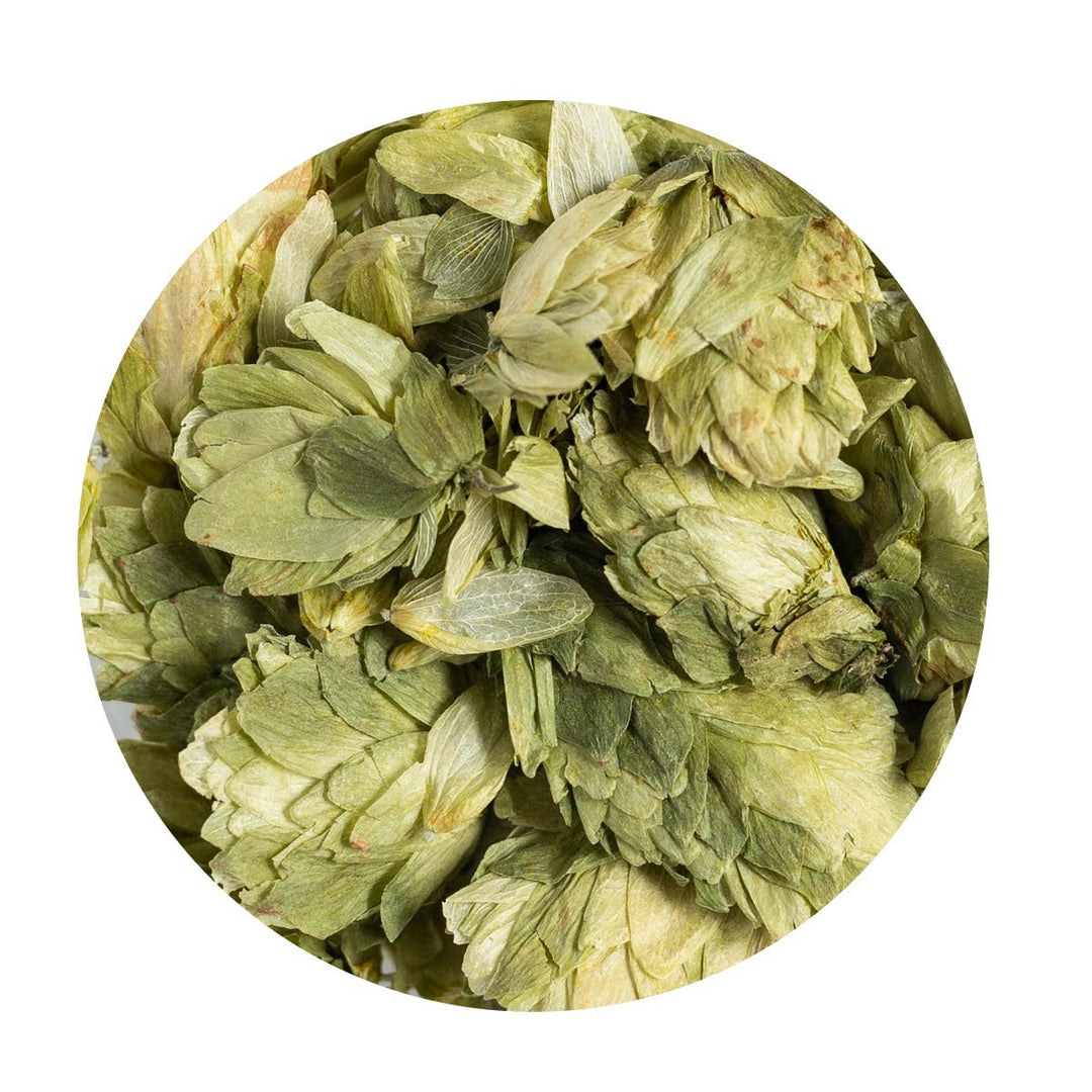 Loose Organic Hops flowers.