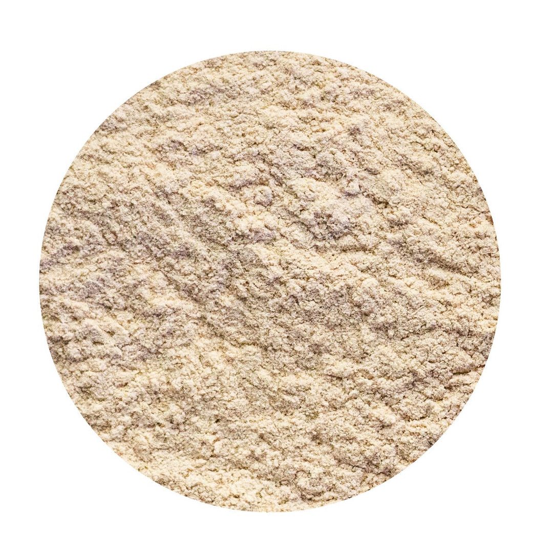 Organic Astragalus herb powder.