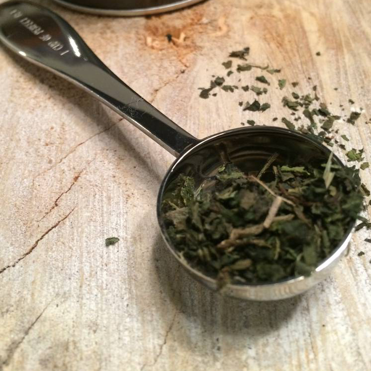 Perfect Measure Teaspoon