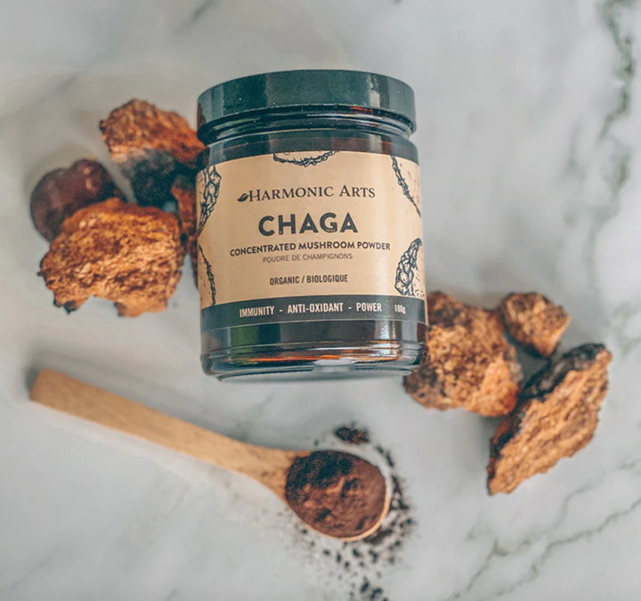 Harmonic Arts Chaga Mushroom Concentrated Powder 45g