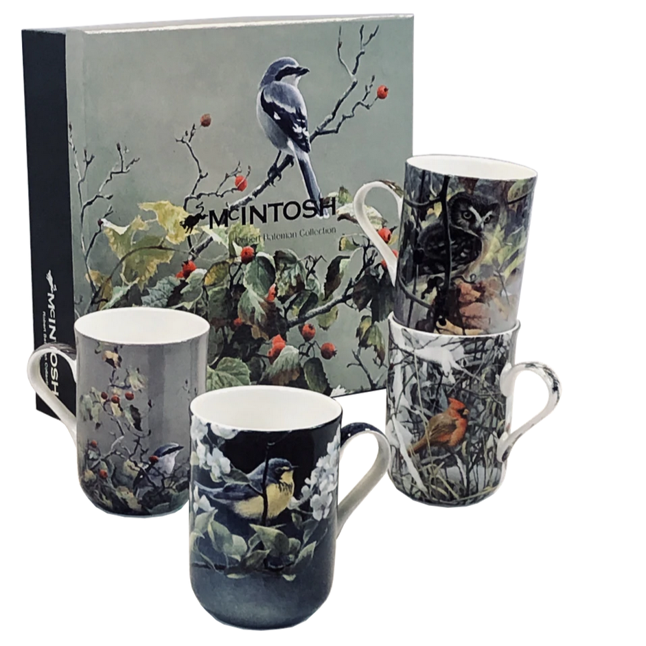 Box with set of four McIntosh Fine Bone China Mugs with bird print.